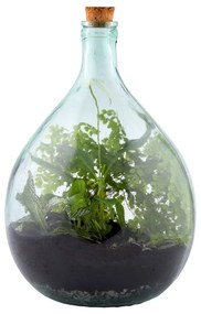 Szklane terrarium z narzędziami do uprawy roślin Esschert Design, 15 l