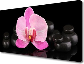 Obraz canvas Równowaga Natury: Kwiat i Kamień