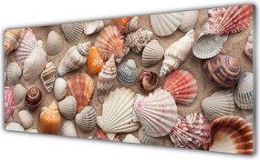 Szkło do Kuchni na Ścianę Skarby Morza na Piasku