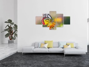 Obraz motyla na kwiatku (125x70 cm)