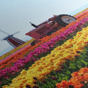 Obraz farmy tulipanów (170x50 cm)