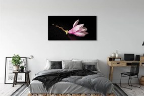 Zdjęcie na płótnie Kwiat na Wodzie