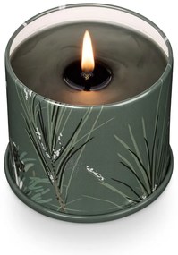 Zapachowa sojowa świeca czas palenia 50 h Balsam &amp; Cedar – ILLUME x Bloomingville