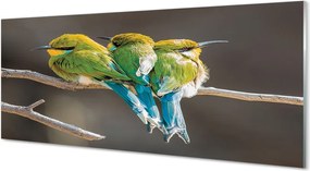 Szkło do Kuchni na Ścianę Ptasie Zgromadzenie na Drzewie