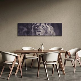 Obraz lwa (170x50 cm)