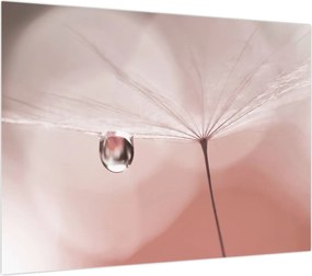 Obraz - Kropla rosy (70x50 cm)