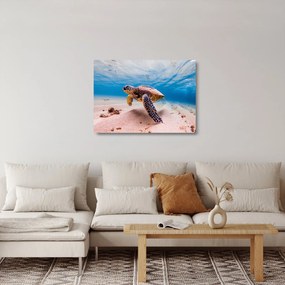 Obraz na szkle żółwia w oceanie (70x50 cm)