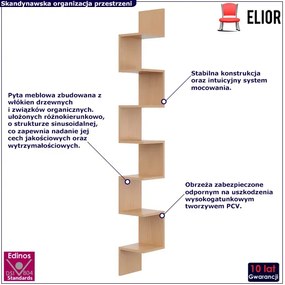Narożna półka ścienna w kolorze buk - Flora 5X