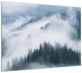 Obraz - Drzewa we mgle (70x50 cm)