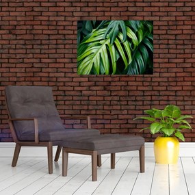 Obraz - Tropikalne liście (70x50 cm)