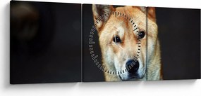 Obraz psa (z zegarem) (90x30 cm)