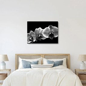 Obraz kwiatu orchidei (70x50 cm)