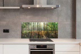 Panel szklany do Kuchni Klasyczny Las Brzozowy