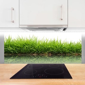 Szkło do Kuchni na Ścianę Świeżość Trawy Nad Wodą