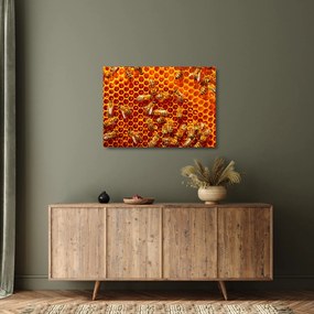Obraz na szkle - Plaster miodu (70x50 cm)
