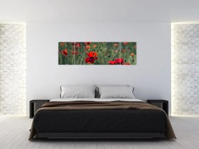 Obraz - Łąka z makami (170x50 cm)
