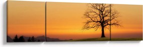 Obraz zachodu słońca na łące (170x50 cm)
