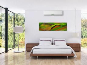 Obraz - Pola, łąki (170x50 cm)