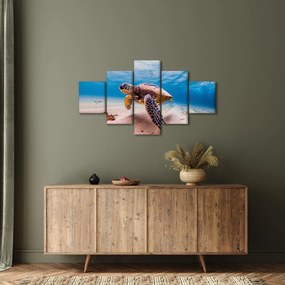 Obraz żółwia w oceanie (125x70 cm)