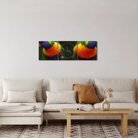 Obraz papug (z zegarem) (90x30 cm)