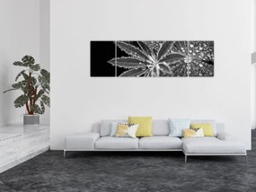 Obraz - Krople (170x50 cm)