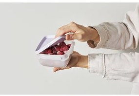 SmartStore Zestaw plastikowych pojemników Freezer2 szt., lewan dule, 1200 ml, 1200 ml