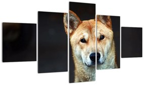 Obraz psa (125x70 cm)