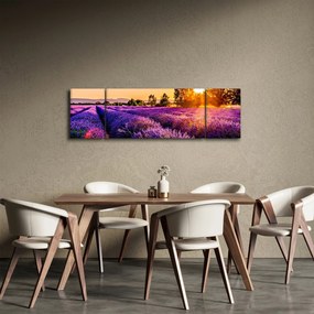 Obraz pola lawendy, Prowansja (170x50 cm)