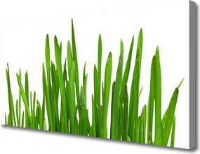 Obraz na płótnie Soczysta Trawa - Detal