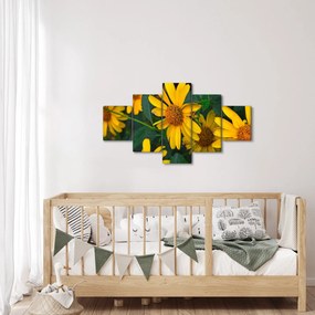 Obraz żółtych kwiatów (125x70 cm)
