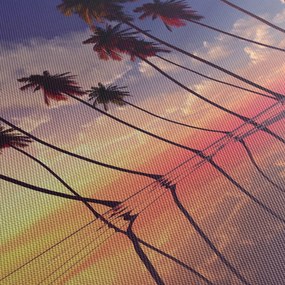 Obraz palm wznoszących się nad powierzchnią (125x70 cm)
