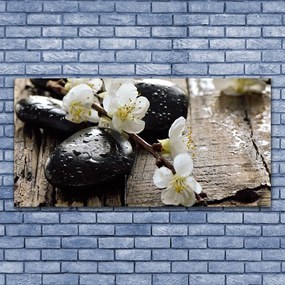 Obraz canvas Kwitnąca Gałązka Jabłoni