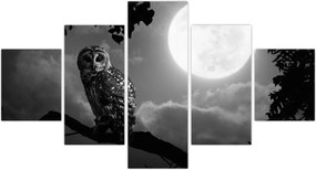 Obraz - Nocna sowa, czarno-biały (125x70 cm)