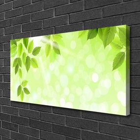 Obraz Canvas Liście Natura Roślina