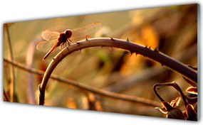 Szkło Ozdobne do Kuchni Ważka Na Roślinie