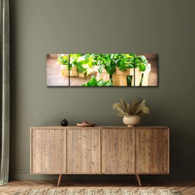 Obraz świeżej mięty (170x50 cm)