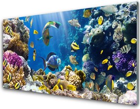 Panel nad blat kuchenny Kolorowa Rafa Koralowa