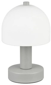 Szara lampa stołowa ze szklanym kloszem (wysokość 19 cm) Glenn – Trio