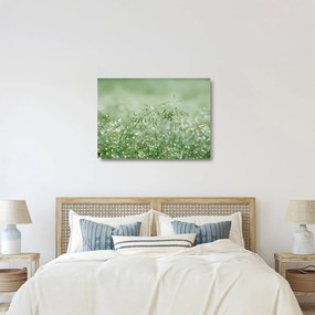 Obraz na szkle - Poranna rosa na źdźbłach trawy (70x50 cm)