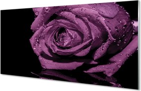 Panel nad Blat Kuchenny Szlachetna Fioletowa Róża