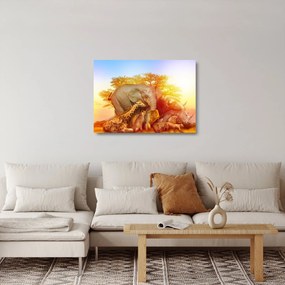 Obraz na szkle zwierząt afrykańskich (70x50 cm)