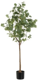 Sztuczny kwiat Eucalyptus – Casa Selección