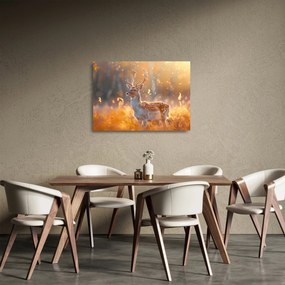 Obraz na szkle - Jeleń na polu (70x50 cm)