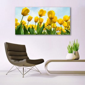 Obraz canvas Pole Tęczowych Tulipanów