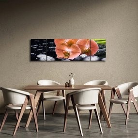 Obraz - Pomarańczowa orchidea z liśćmi palmy (170x50 cm)