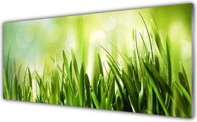 Panel nad blat kuchenny Soczysta Zielona Trawa