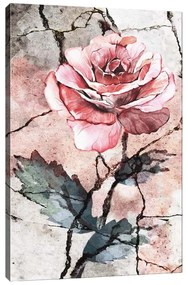 Obraz na płótnie Tablo Center Rose, 40x60 cm