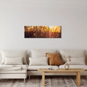 Obraz pola o zachodzie słońca (z zegarem) (90x30 cm)