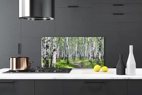 Panel Kuchenny Ścieżka Przez Słoneczny Las