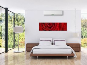Obraz - szczegół róży (170x50 cm)